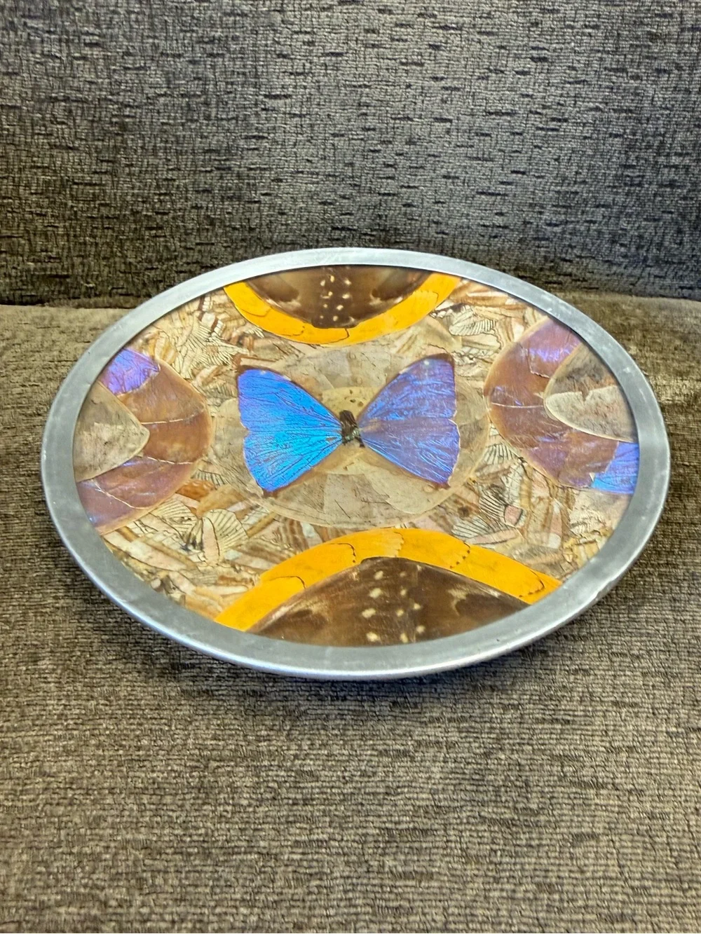 Vintage Brazilian Morpho Iridescent Blue Butterfly Wing and Feather Wall Art.
